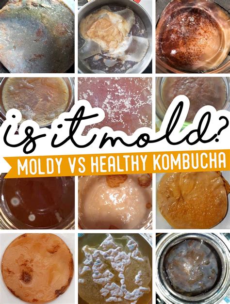 is kombucha bad for the liver